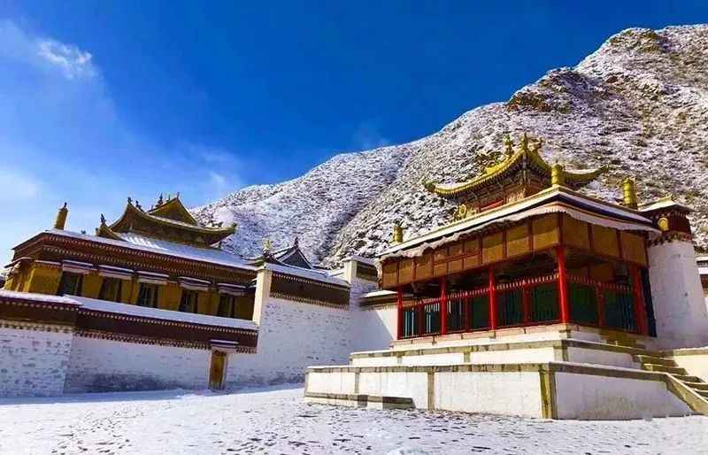 冬日甘南：雪域秘境的终极召唤