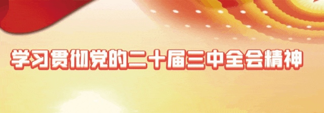 【企业风采录】友发钢管：管通天下 铸就行业脊梁