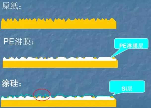 黑龙江热浸涂塑钢管价格与科学趣闻：为什么包口香糖的纸要带锯齿边？(No468)