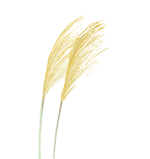 宁夏热浸涂塑钢管制造厂 法报纪录：回望宁夏第一个钢铁厂