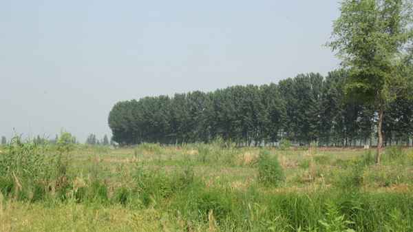 雄县玻璃钢电力管厂家 口述中国|雄安⑤知鱼善捕的老镇长:休渔期监管要到位 雄县玻璃钢电力管厂家 口述中国|雄安⑤知鱼善捕的老镇长:休渔期监管要到位