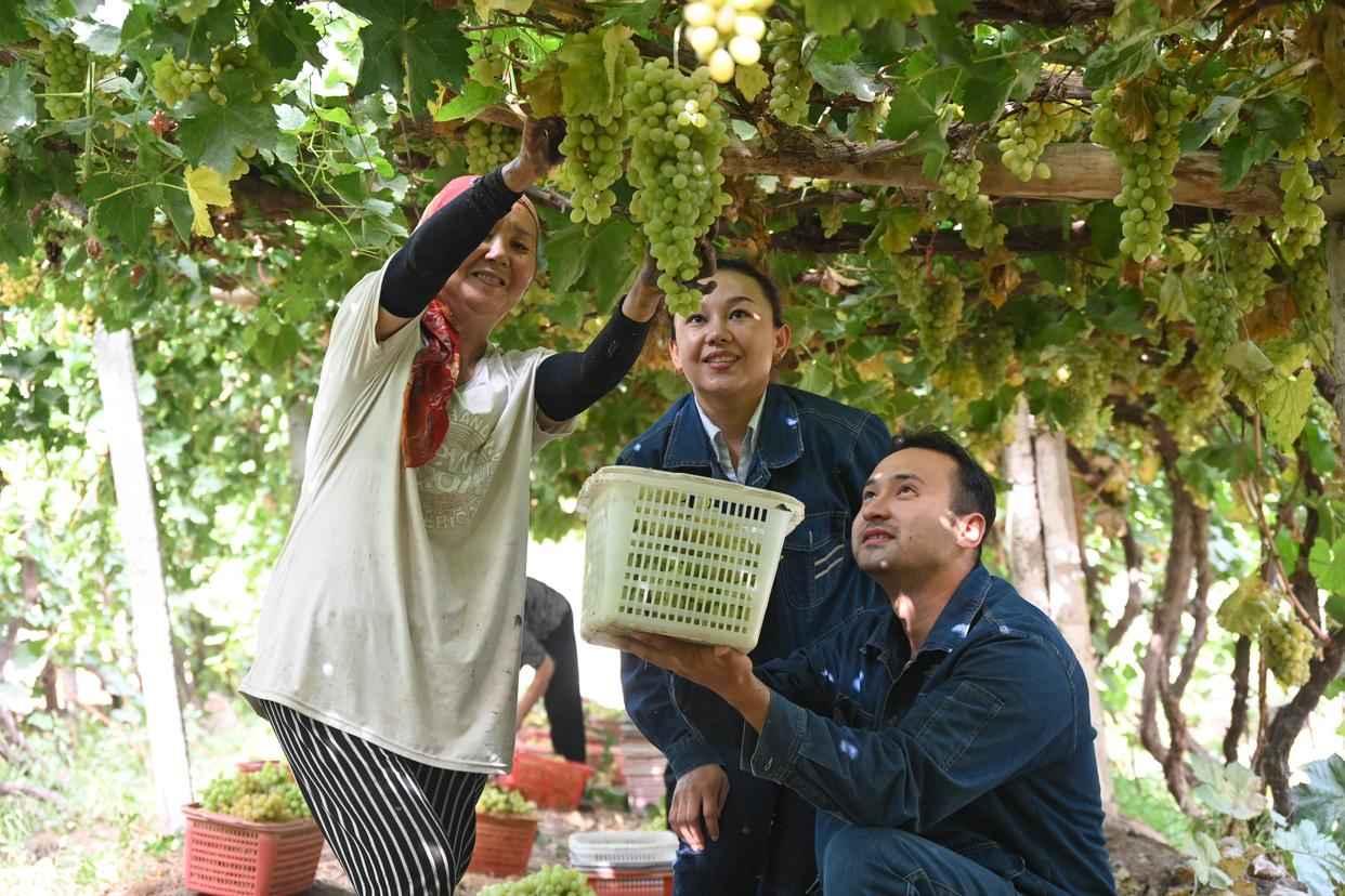 吐鲁番电力管生产：电力血管通田间，智慧灌溉助升级