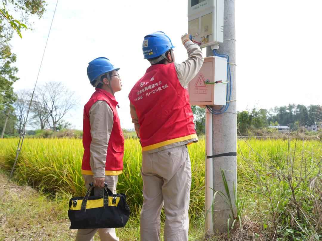 长汀HFB电力管供应:满格电力护航晚稻抢烘归仓 长汀HFB电力管供应:满格电力护航晚稻抢烘归仓