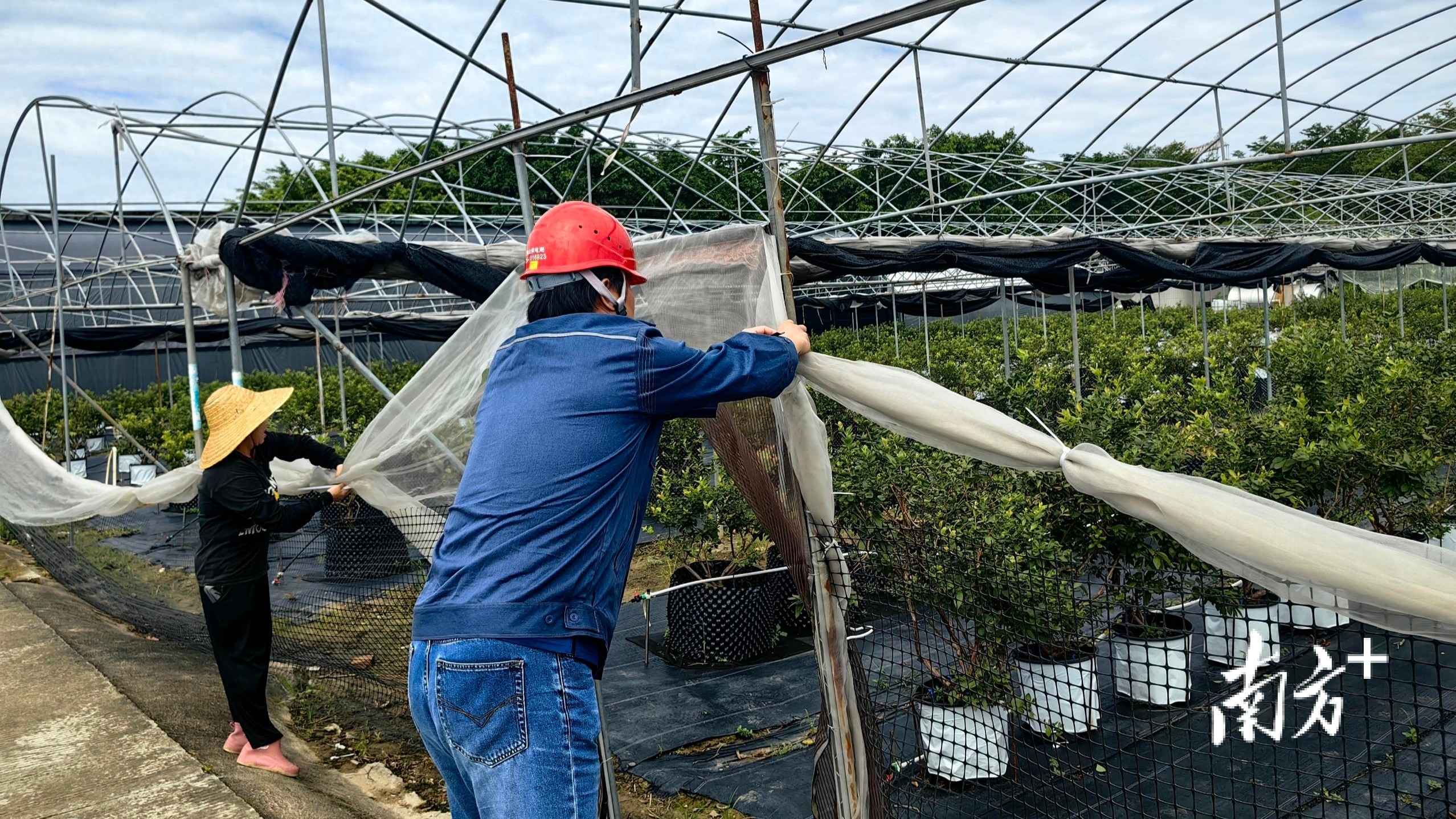 奥仁格管道助力佛山电网抗台风，24小时抢修热线全面启动
