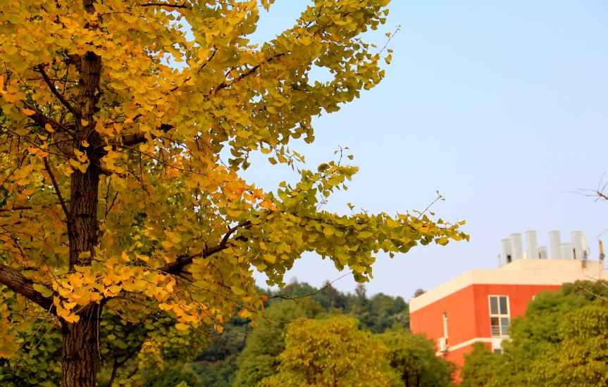 电力属于哪个学院管 被国家电网视为“亲儿子”的6所大学！学科优势突出，毕业生很吃香